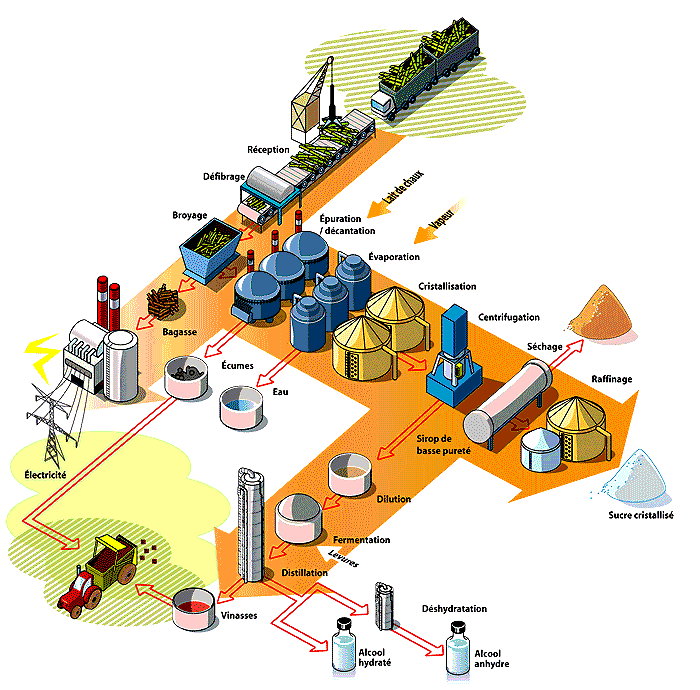 usine du gol